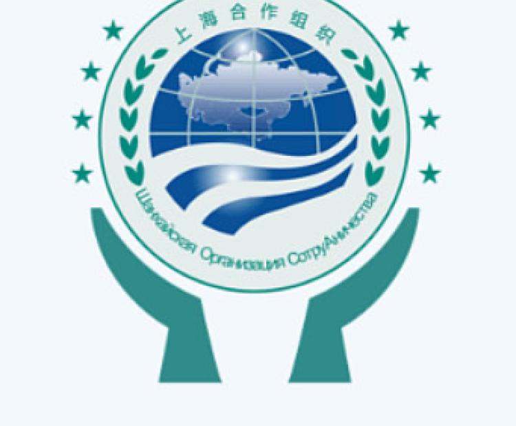 青島華睿源科技有限公司 門戶網(wǎng)站軟件開(kāi)發(fā)